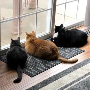 Meet your Posher, Sheila